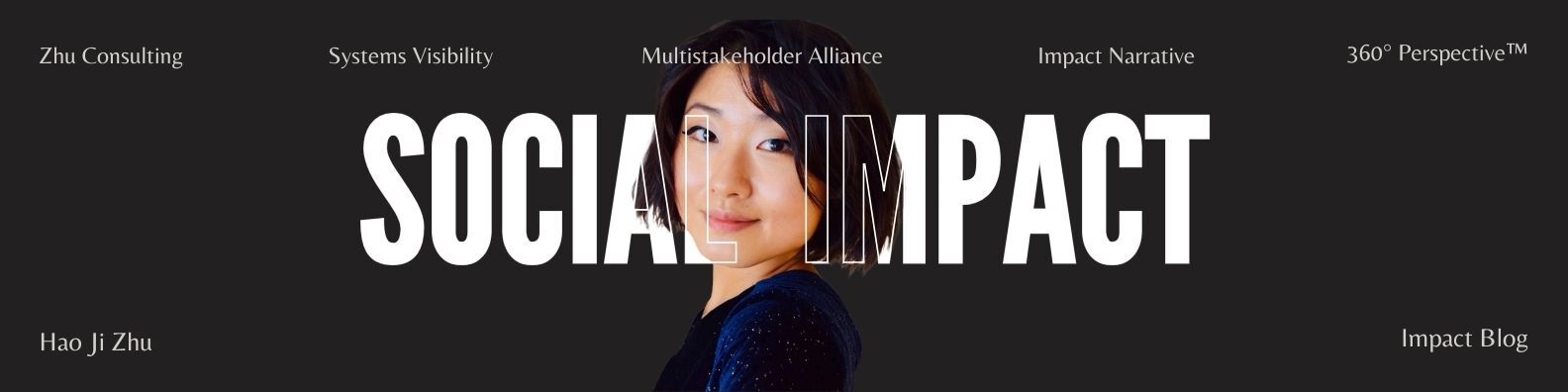 Zhu Consulting Official Banner